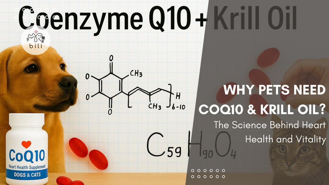 Why Pets Need CoQ10 and Krill Oil?